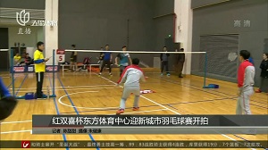 【五星体育】红双喜杯东方体育中心迎新城市羽毛球赛开拍